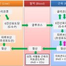 헬스대통령 대중사우나 이미지