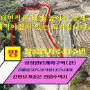매물번호:1000-379음암면 상홍리 저수지주변 성장관리계획구역 면적,962㎡(291평)매가3.3㎡38만원 이미지