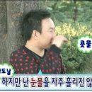 뽀떼나