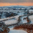 (주)지혜로운세상 이미지