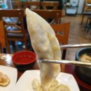 코끼리만두 이미지