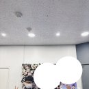 토이팩토리 이미지