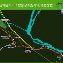 따숨(Take a trip) 제9차 정기걷기 3월 9일(일)- 기차로 떠나는 섬진강 기차마을 이미지