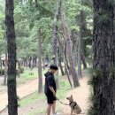 유기견 유기묘 봉사 [포캣멍센터] 재방문 활동 후기