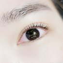 손끄치스치다