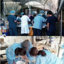 퍼피키티 이미지