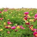 계명산자연휴양림 산막 이미지