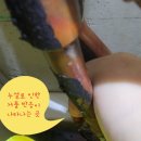 한스시스템 이미지