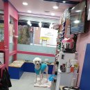 세븐동물병원 이미지