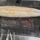 도림장어 이미지