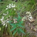 천하촌펜션 이미지