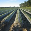 인원농장 이미지