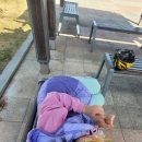 동탄센트럴파크 인라인스케이트장 이미지