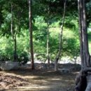 모야의숲 캠핑장 이미지