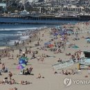 캘리포니아 이미지