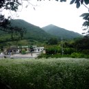 곡성(상) 주유소 이미지