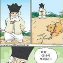 서당개 이미지