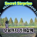 Flying Spinner Ball / Secret Surprise 이서윤사건 (2026년9월13일) 이미지