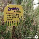 허브 이미지