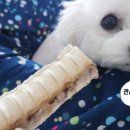도니푸드 네이버블로그