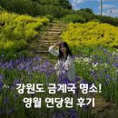 동서1로 | 영월 가볼만한곳 추천 동서강정원 연당원 금계국 실시간 후기