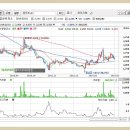 에스에스제이주식회사 이미지