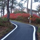 산책민박 이미지