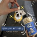 댕댕이연구소 | [댕댕이연구소 파삭크런치링] 기호성 좋은 강아지트릿간식 추천ㅣ저칼로리 강아지간식 추천ㅣ황태간식
