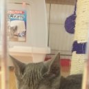 언니네집 이미지