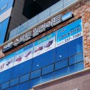 수목토일라이트 이미지