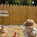 코커스101 이미지