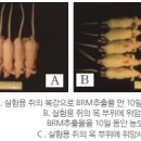 BRM 연구소