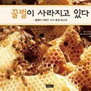 꽃과꿀벌