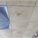 우주목욕탕 이미지