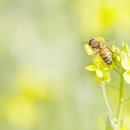 영창한의원 이미지