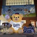 콜렉트경기 | 성수 팝업스토어 두산베어스 스너글 베어스랜드 후기