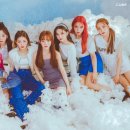 와이비인터내셔널 이미지