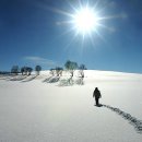 踏雪,서산대사,禪詩[서예] /추사 김정희 이미지