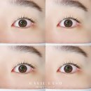 하비래쉬 | 대구 속눈썹 하비래쉬 후기