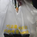 갓튀긴후라이드반송 - 15737 | 갓튀긴후라이드반송