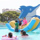 김녕 몽생이 이미지