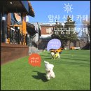 대구애견 | 대구 꽁냥꿍냥펫카페 앞산 신상 애견카페 후기