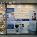 남산동물병원 이미지