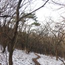 장원초등학교 이미지