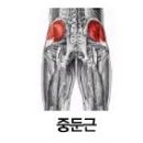 라라힙
