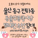 동울산종합시장 | 울산상가임대, 울산 동구 전하동 동울산종합시장 빅쓰리대단지 밀집 병의원 추천 5000만원/300만원/무권리