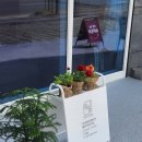 동평로 | 구미 고아읍 주문제작 기념일 떡케이크 추천 [ 류월 ] 4구 세트 후기