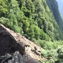 머루와 다래 이미지