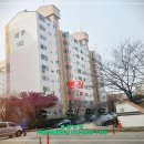 시화사랑약국 이미지