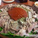 동강염소 이미지